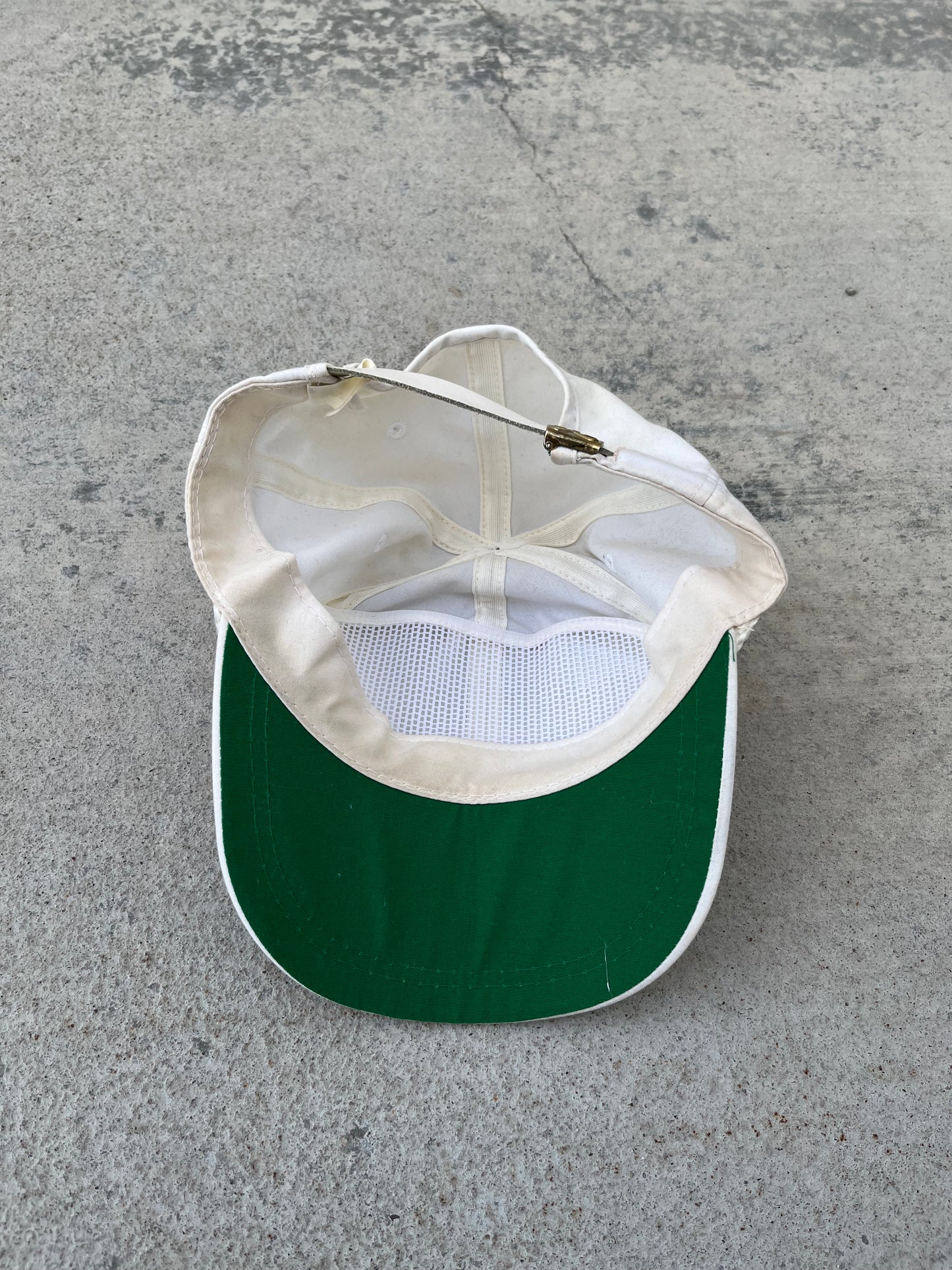 Sherwin Williams "Cover The Earth" Hat